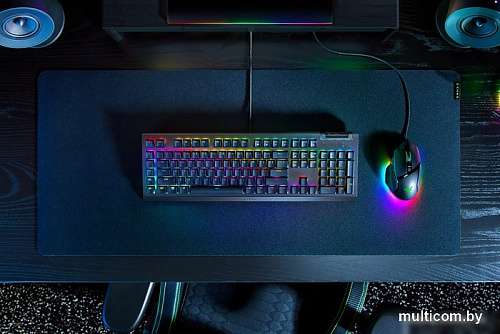 Клавиатура Razer BlackWidow V4 X (Razer Green)