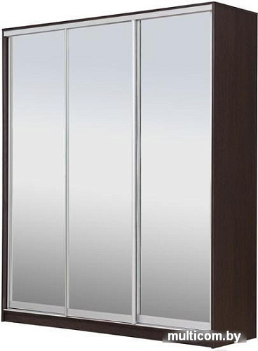 Шкаф-купе Рэйгрупп 176450 VVX Elgon РГ-03.04 (венге/хром)