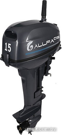 Allfa T15