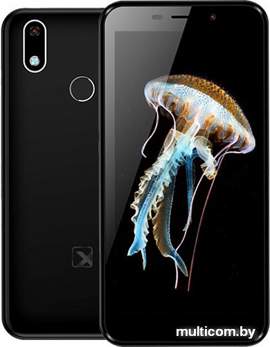 Смартфон TeXet TM-5081 (черный)