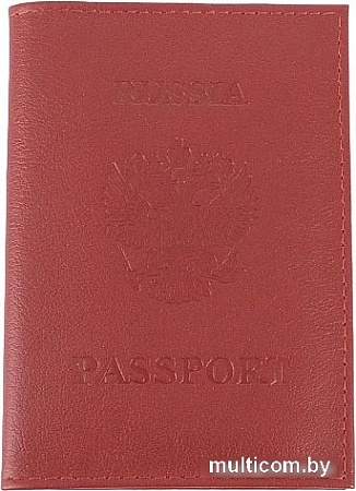 Обложка для паспорта Poshete 604-117LG-LBB (красный)