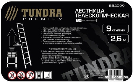 Лестница Tundra Premium 882099