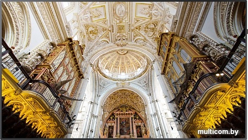 Информационная панель Samsung QM98N