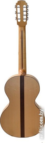 Акустическая гитара Doff RGP