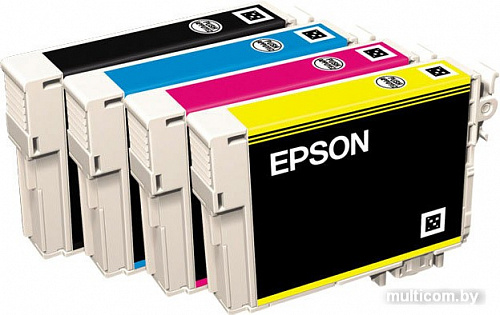 Картридж Epson C13T12954010