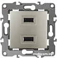 Розетка USB ЭРА 12-4110-04