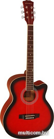 Акустическая гитара Elitaro E4020 RDS
