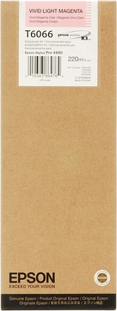 Картридж Epson C13T606600