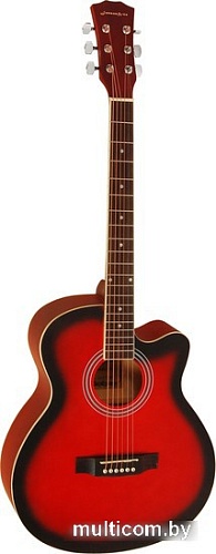 Акустическая гитара Elitaro E4020 RDS