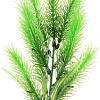 Искусственное растение Barbus Перестолистник Plant 028/20 (зеленый)