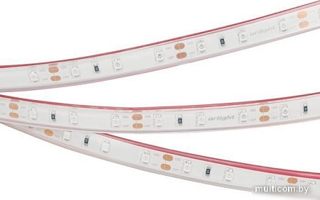 Светодиодная лента Arlight RTW-PFS-A60-11mm 034012