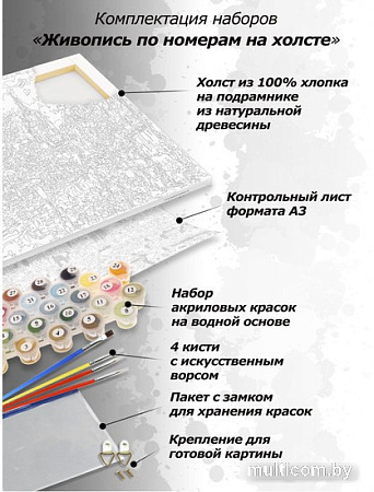 Картина по номерам Белоснежка Дыхание вечернего дождя 480-IRC