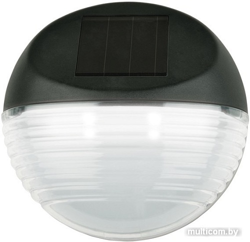 Уличный настенный светильник Uniel Bright USL-F-151/PТ110