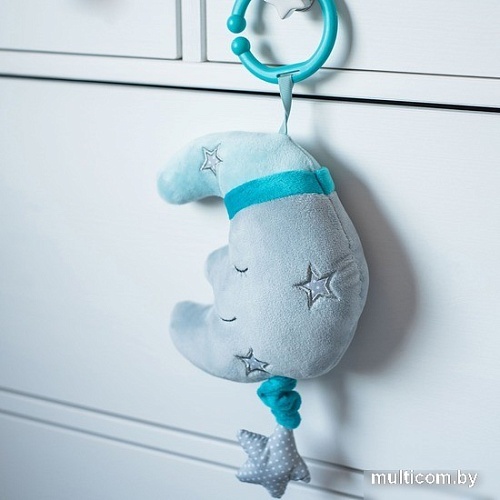 Развивающая игрушка BabyOno Happy Moon 610