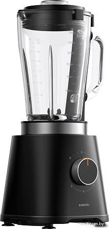 Xiaomi MLLJ001CM-1A (с евровилкой)