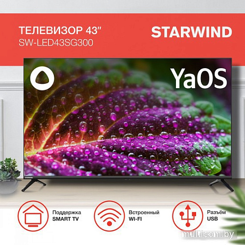 Телевизор StarWind SW-LED43SG300