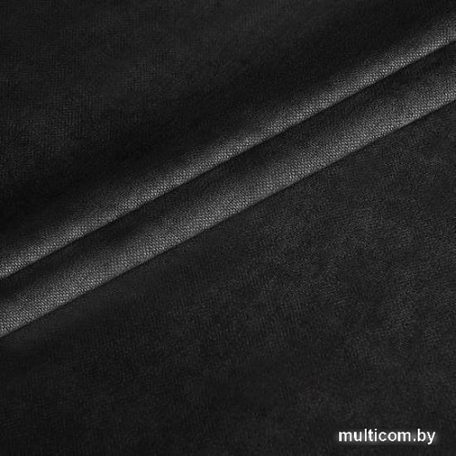 Комплект штор Pasionaria Софт 480x270 с подхватами (черный)