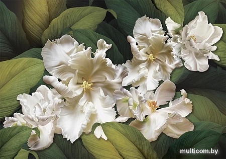 Фотообои Твоя планета Люкс Совершенство