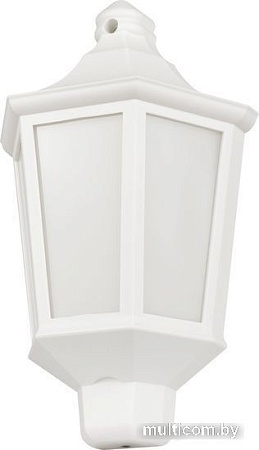 Уличный настенный светильник ЭРА НБУ 06-60-003 Ника Б0061160