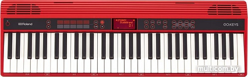Синтезатор Roland Go:Keys