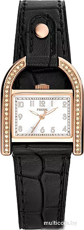 Наручные часы Fossil ES5263