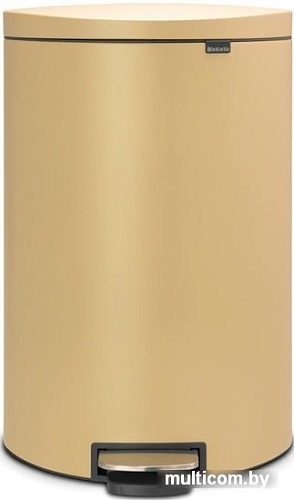 Brabantia FlatBack+ 40 л (минерально-золотой)