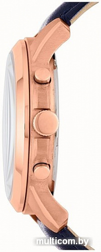 Наручные часы Fossil Grant FS4835IE