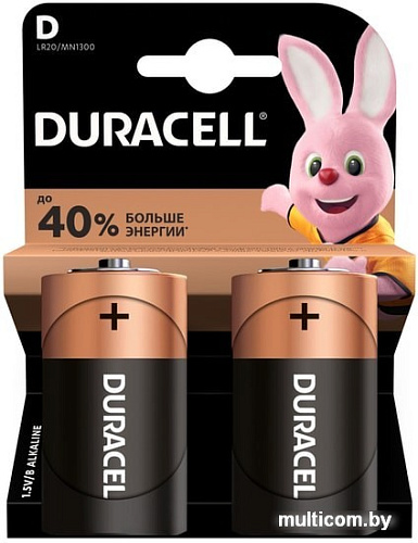 Батарейки DURACELL LR20/MN1300 2BP