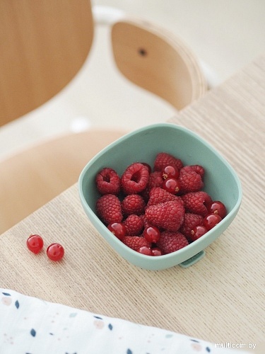 Тарелка для кормления Beaba Bol Silicone 913547 (Sage Green/Vert)