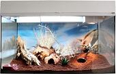 Террариум Lucky Reptile Стартовый комплект для гекконов SK50DG-W (белый)