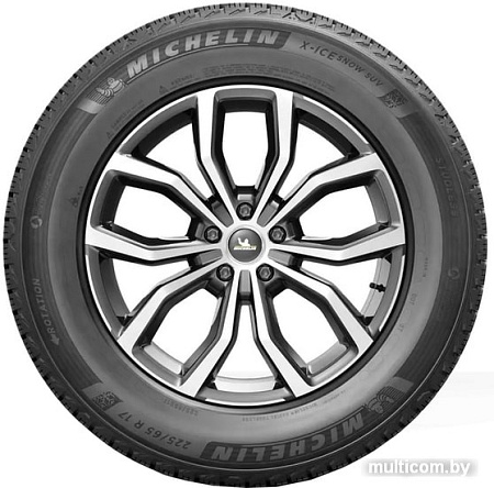 Автомобильные шины Michelin X-Ice Snow SUV 255/45R20 105T