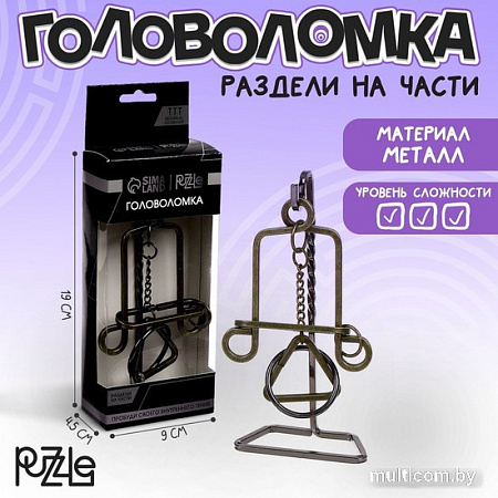Головоломка Puzzle Раздели на части №4 105399