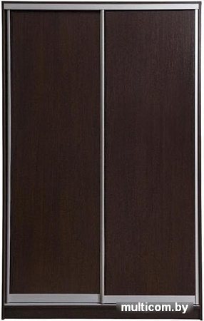 Шкаф-купе Рэйгрупп 138450 VVX Elgon РГ-05.03 (венге/венге/хром)