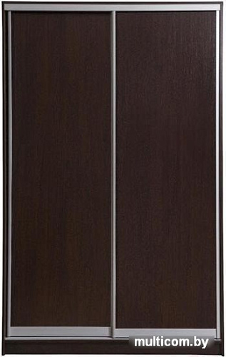 Шкаф-купе Рэйгрупп 138450 VVX Elgon РГ-05.03 (венге/венге/хром)