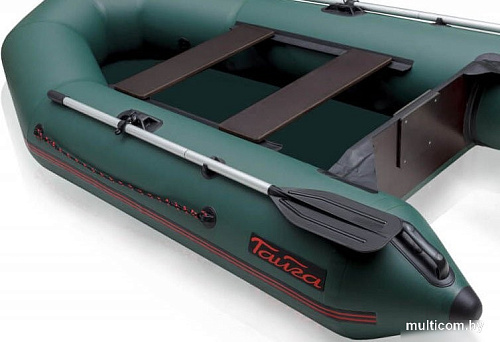 Моторно-гребная лодка Leader Boats Тайга-290-М 2902021 (зеленый)
