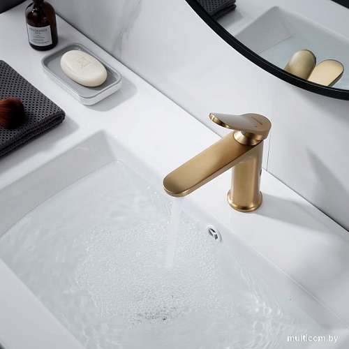 Смеситель Shevanik S4301G