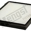 Hengst E2955LI