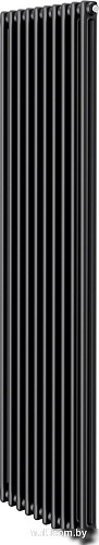 Стальной трубчатый радиатор Royal Thermo Insignia C2180 - 10 секций RAL9005m