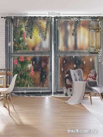 Комплект штор JoyArty Зимнее окно Oxford DeLux 1.7x2.65 м pox_21494_170x265 (2 шт)