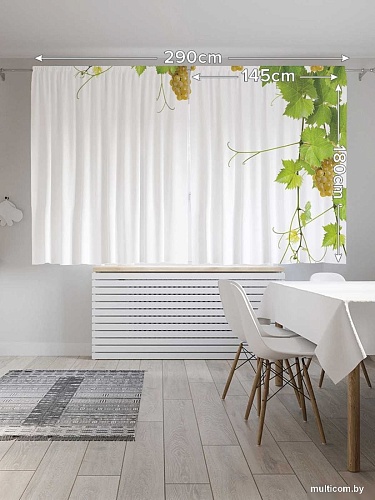 JoyArty Ветка винограда p_21590 (145x180)