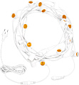 Белт-лайт Neon-night Belt Light 331-232