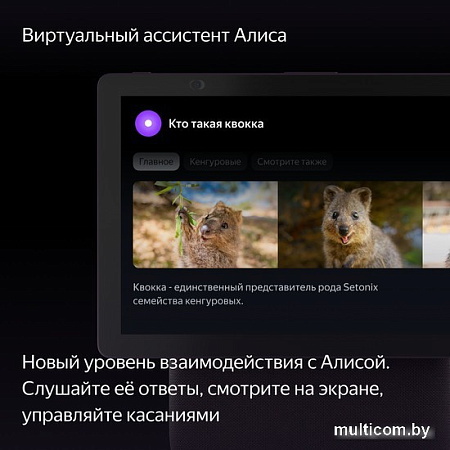 Колонка с умным дисплеем Яндекс Станция Дуо Макс (красный)