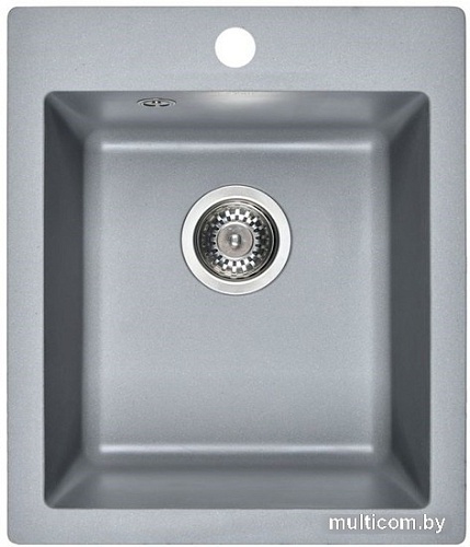 Кухонная мойка Wisent 420-29W (с сифоном GER013)