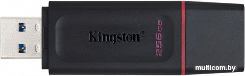 USB Flash Kingston Exodia 256GB