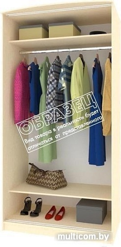 Шкаф раздвижной Кортекс-мебель Лагуна ШК03-01 (береза/белый)