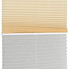 Плиссе Delfa Basic Crush СПШ-35501/3504 Basic Transparent (52x160, ваниль/белый)
