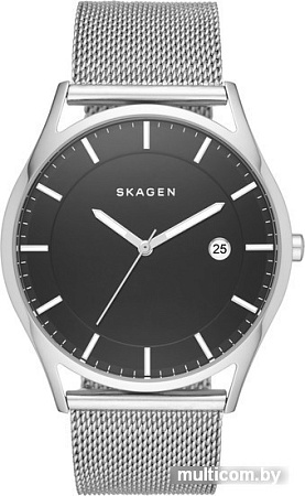 Наручные часы Skagen SKW6284