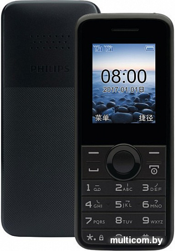 Мобильный телефон Philips E106 (черный)