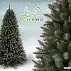 Ель GreenTerra Ариозо, эффект инея 2.2 м
