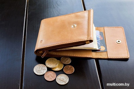 Зажим для денег EZcase Duo (песочный)